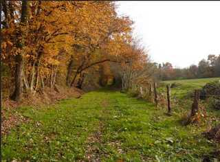 aire de sorbier