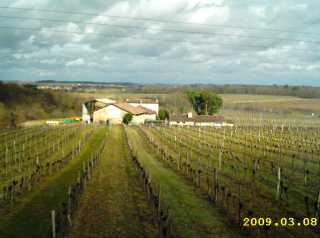 aire de blasimon domaine de la peyraude1