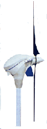 emoticon