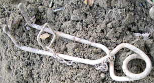 piège  à taupe