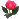fleur :fle